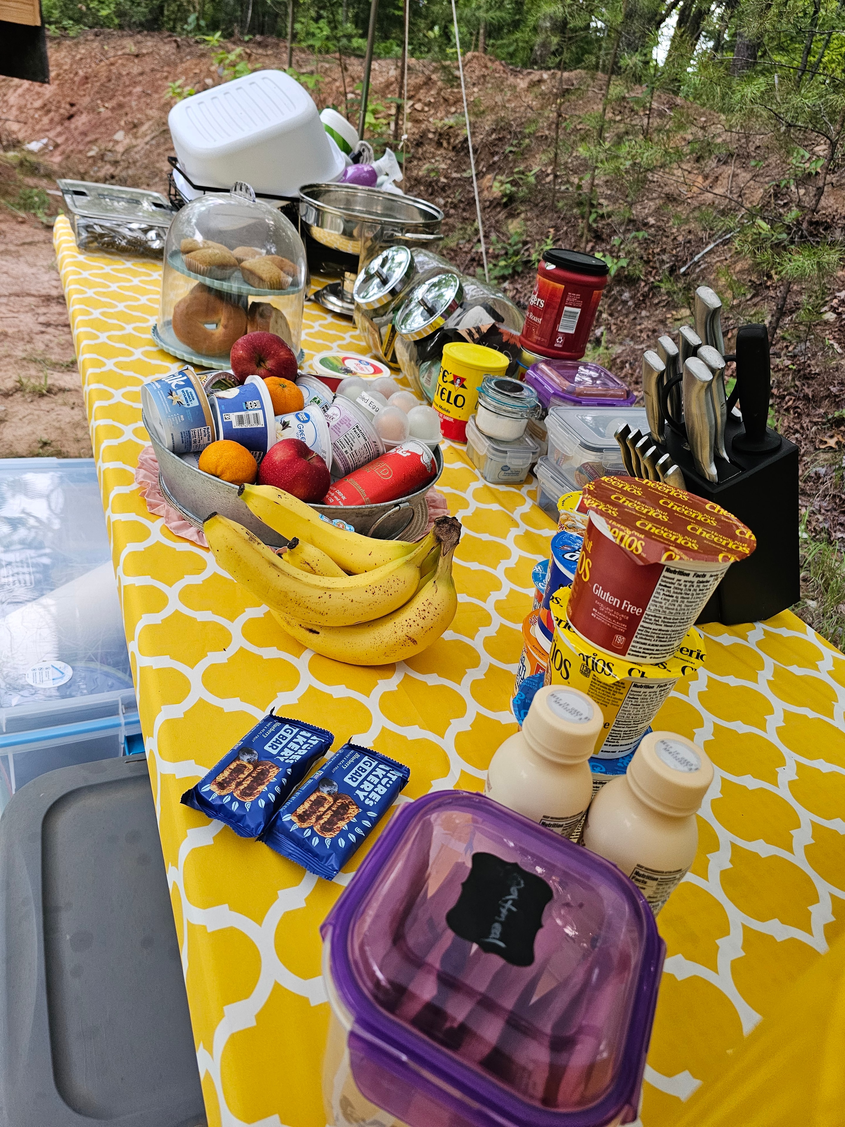BLK147 outdoor picnic breakfast table