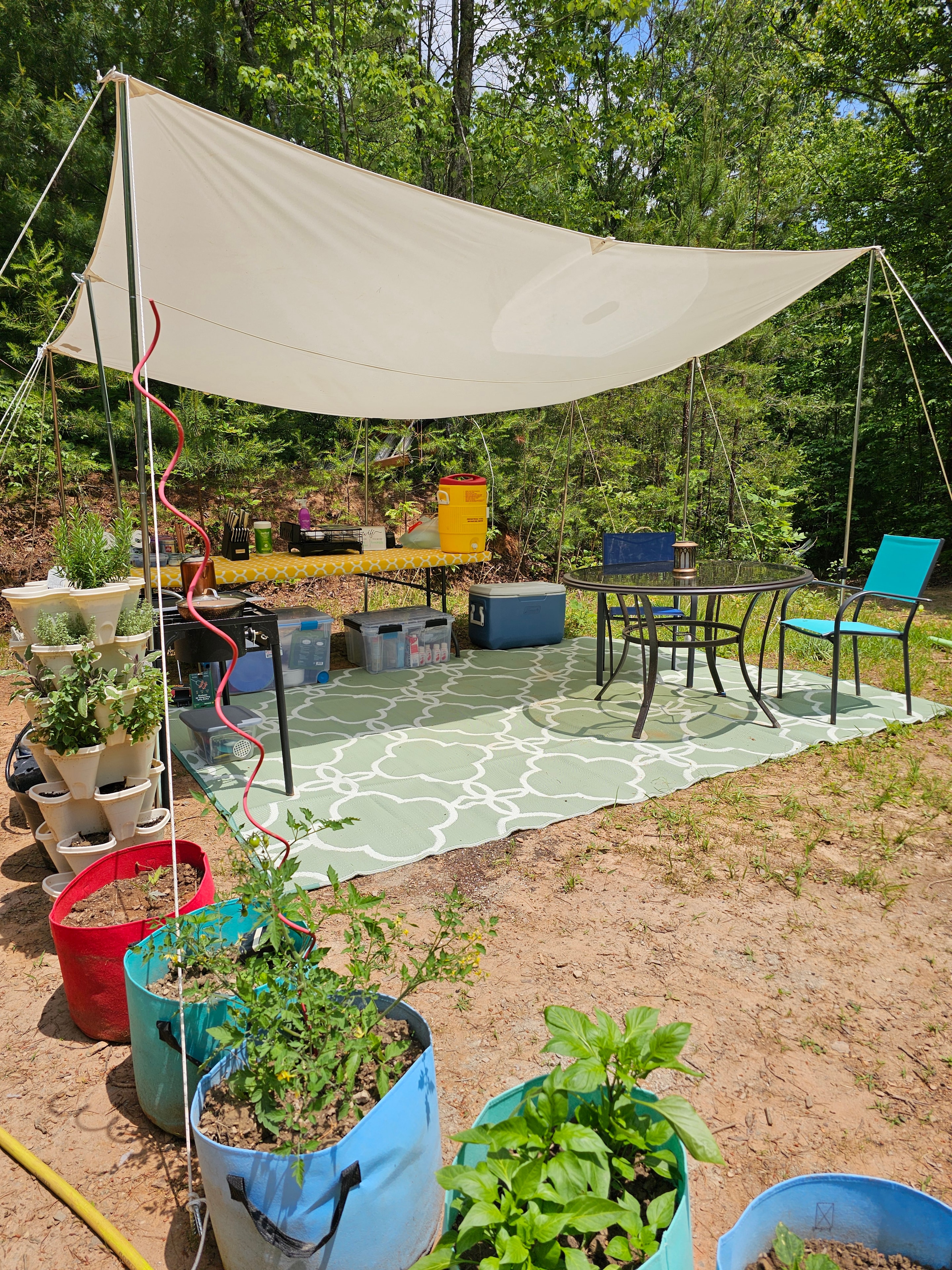 Outdoor kitchen and garden at BLK147