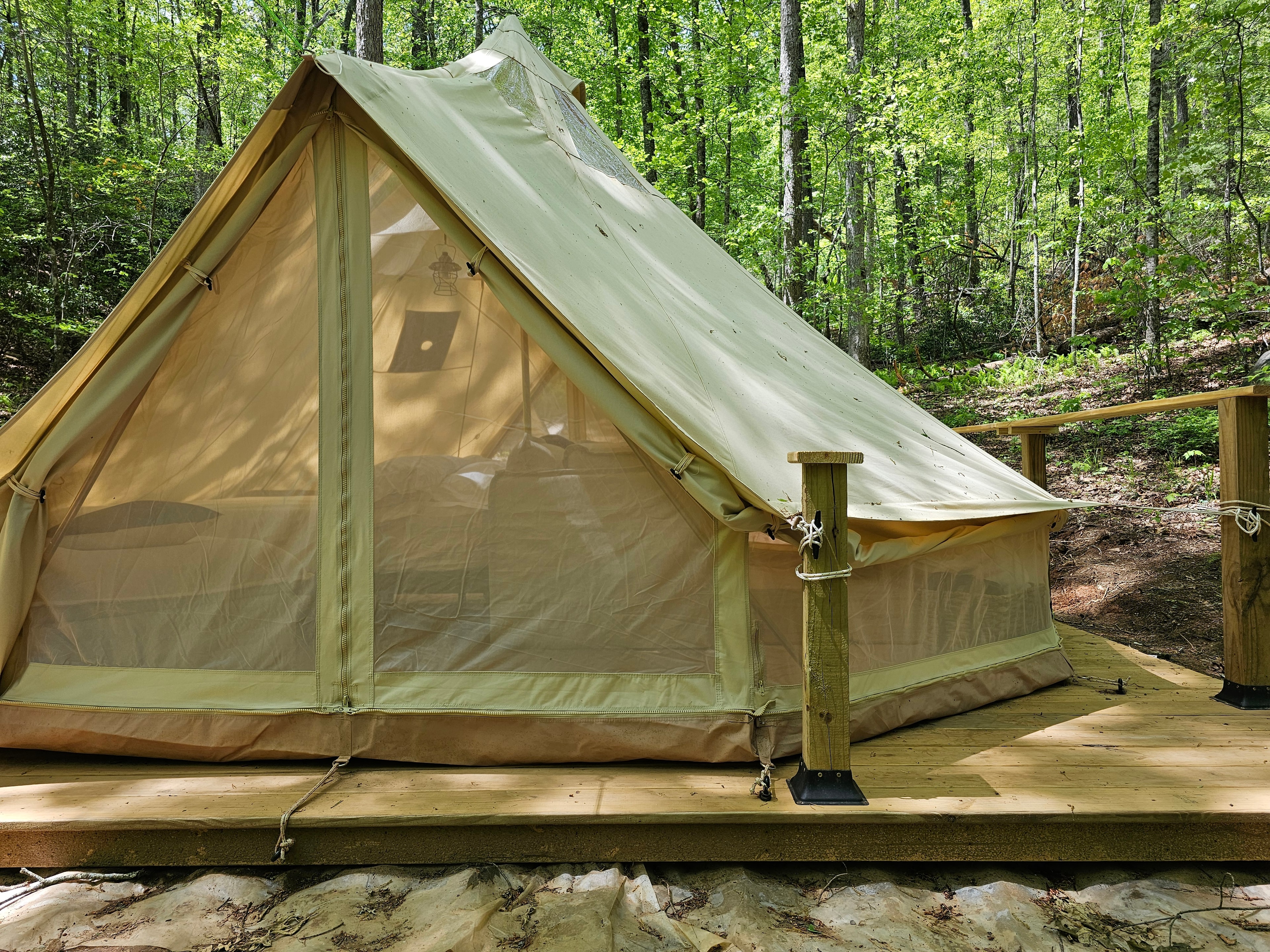 Whisper Hollar tent open to the forest