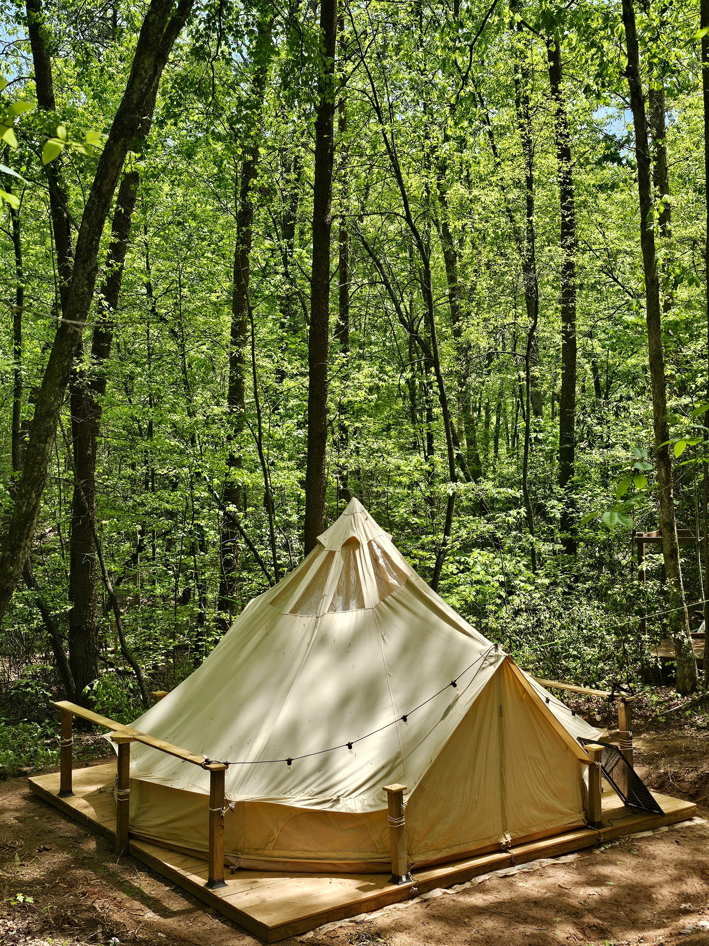 Whisper Hollar bell tent in the forest