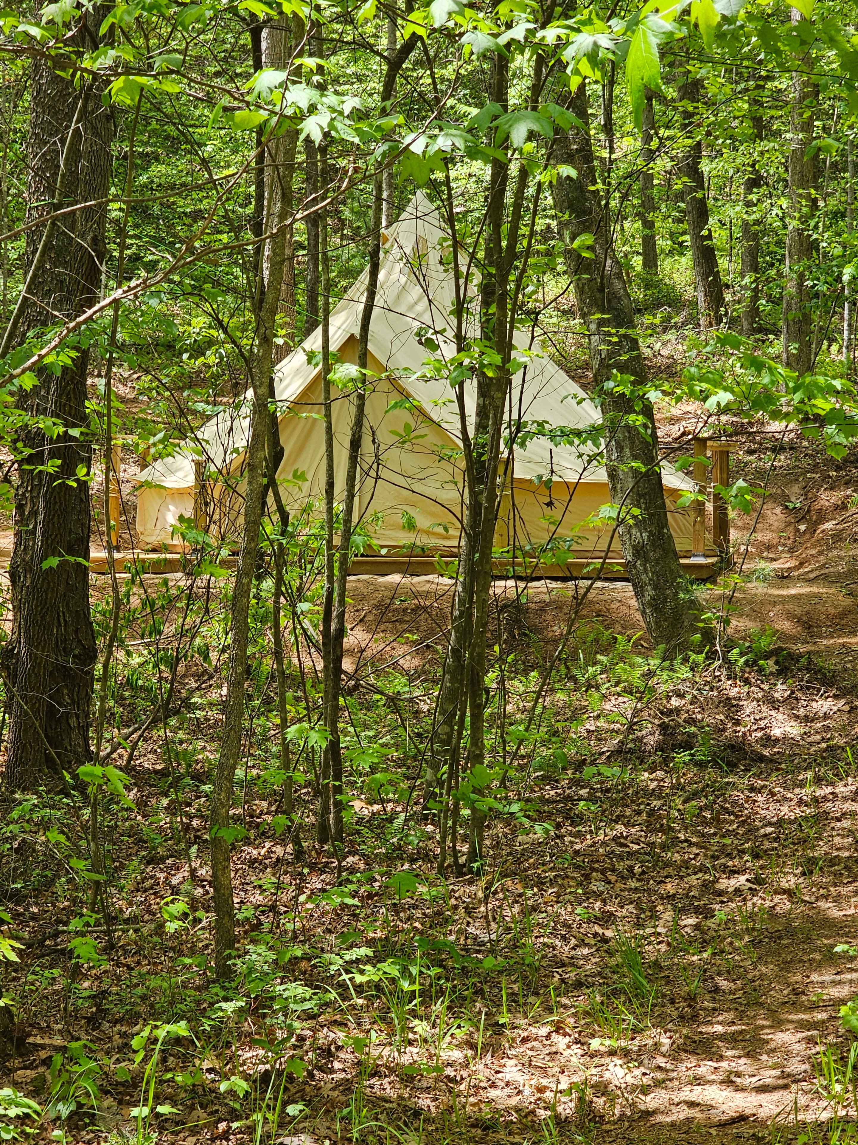 Whisper Hollar hidden in the trees